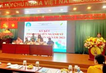 Quận 6 Tổ chức Hưởng ứng Tháng hành động quốc gia về Dân số; Kỷ niệm 61 năm Ngày Dân số Việt Nam 26/12 và Tổng kết công tác Dân số năm 2022