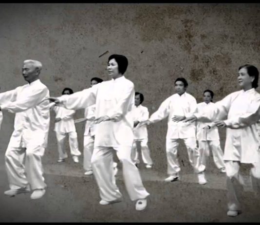 Già hóa dân số
