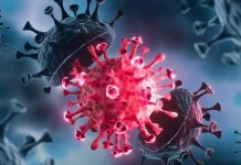 Xuất hiện biến thể phụ JN.1 tại TP.HCM, số ca nhập viện tăng, có ca phải thở oxy