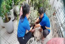 CHI CỤC DÂN SỐ – KẾ HOACH HÓA GIA ĐÌNH THÀNH PHỐ HƯỞNG ỨNG LỄ “TẾT TRỒNG CÂY ĐỜI ĐỜI NHỚ ƠN BÁC HỒ”