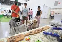 KHÔNG CHỈ VIỆT NAM, NGƯỜI TRẺ NHIỀU NƯỚC CŨNG NGẠI SINH CON, VÌ SAO?