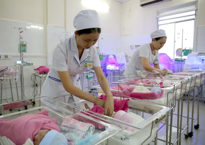 photo-1724253580887-1724253581196520585136