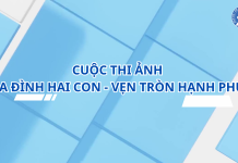 HOẠT ĐỘNG 04:CUỘC THI ẢNH “GIA ĐÌNH HAI CON – VẸN TRÒN HẠNH PHÚC” NĂM 2024
