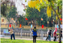 TP.HCM TRIỂN KHAI THI HÀNH LUẬT DÂN SỐ: PHÂN RÕ TRÁCH NHIỆM, SIẾT TIẾN ĐỘ THỰC HIỆN