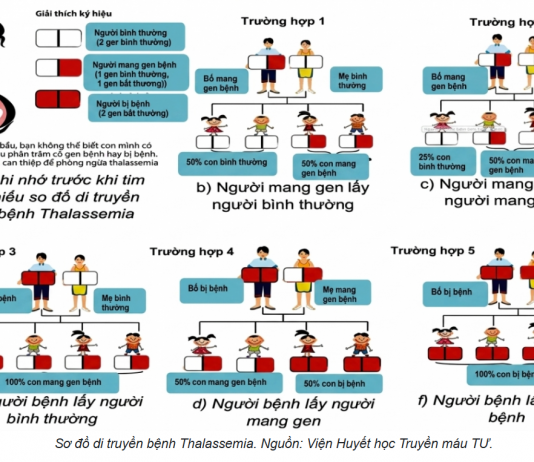 CHỦ ĐỘNG TẦM SOÁT THALASSEMIA TRƯỚC KẾT HÔN VÀ SINH CON, BẢO VỆ THẾ HỆ TƯƠNG LAI